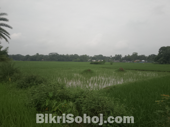 ২ কাঠা জমি ইমারজেন্সি বিক্রি করা হবে